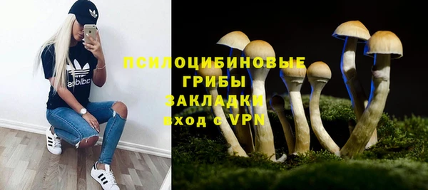 не бодяженный Алзамай