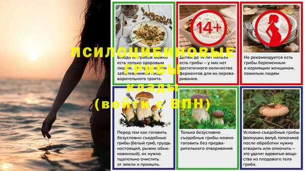 дурь Алексин