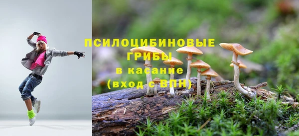 не бодяженный Алзамай