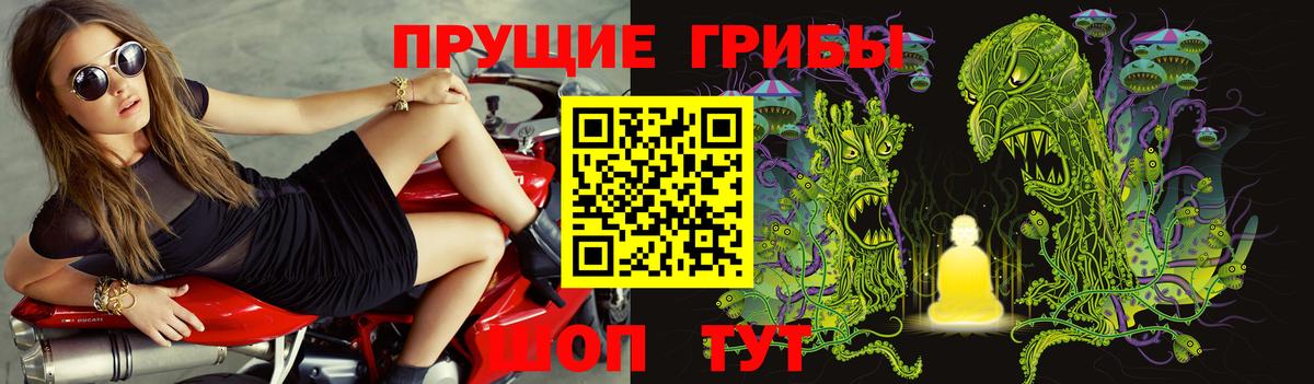 Слободской  Галлюциногенные грибы Magic Shrooms  Вход с VPN  Псилоцибиновые грибы Magic Shrooms 