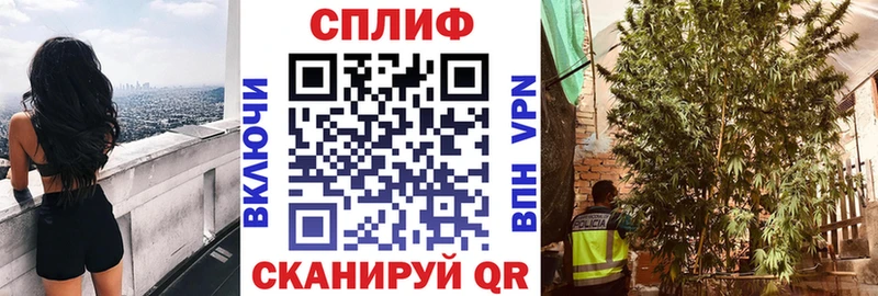 Бошки марихуана OG Kush  Слободской 
